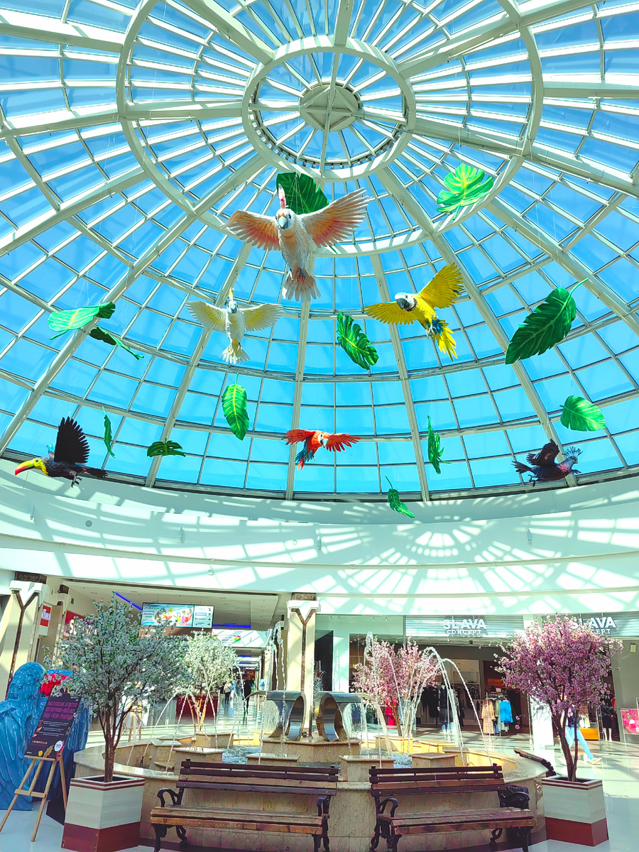 В Рио у фонтана под парящими попугаями