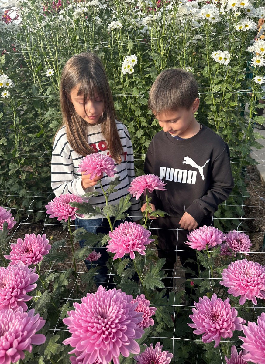 В оранжерее. Фото автора 