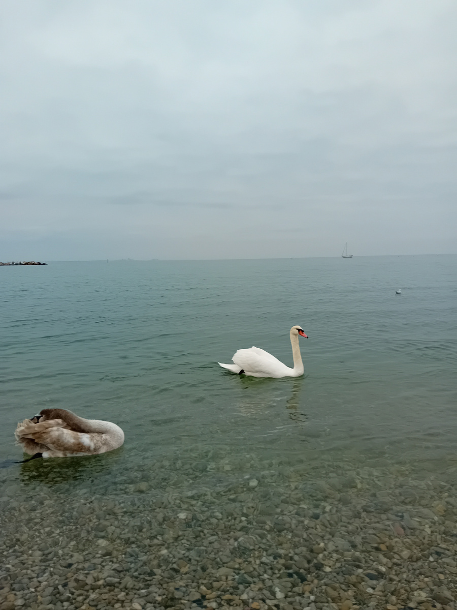 АВТОРСКОЕ  ФОТО.