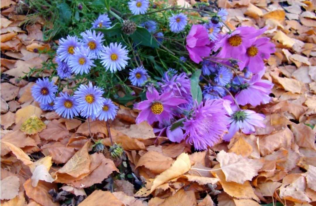 Из открытых источников