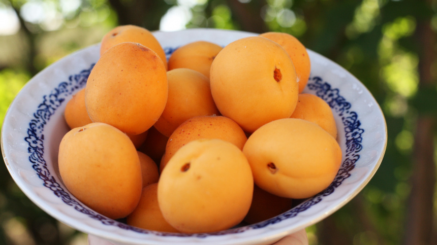    Фото: ИЗВЕСТИЯ/Юлия Майорова