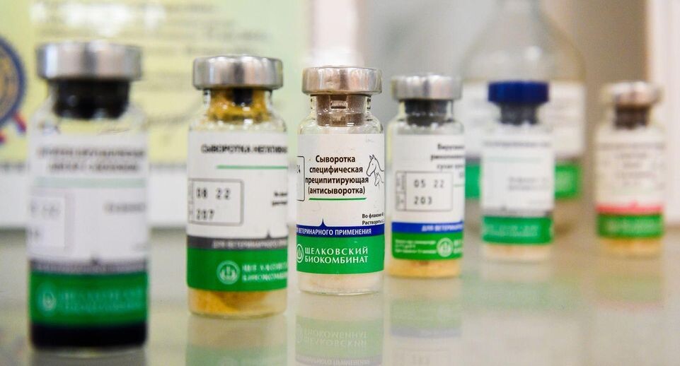    медиасток.рф