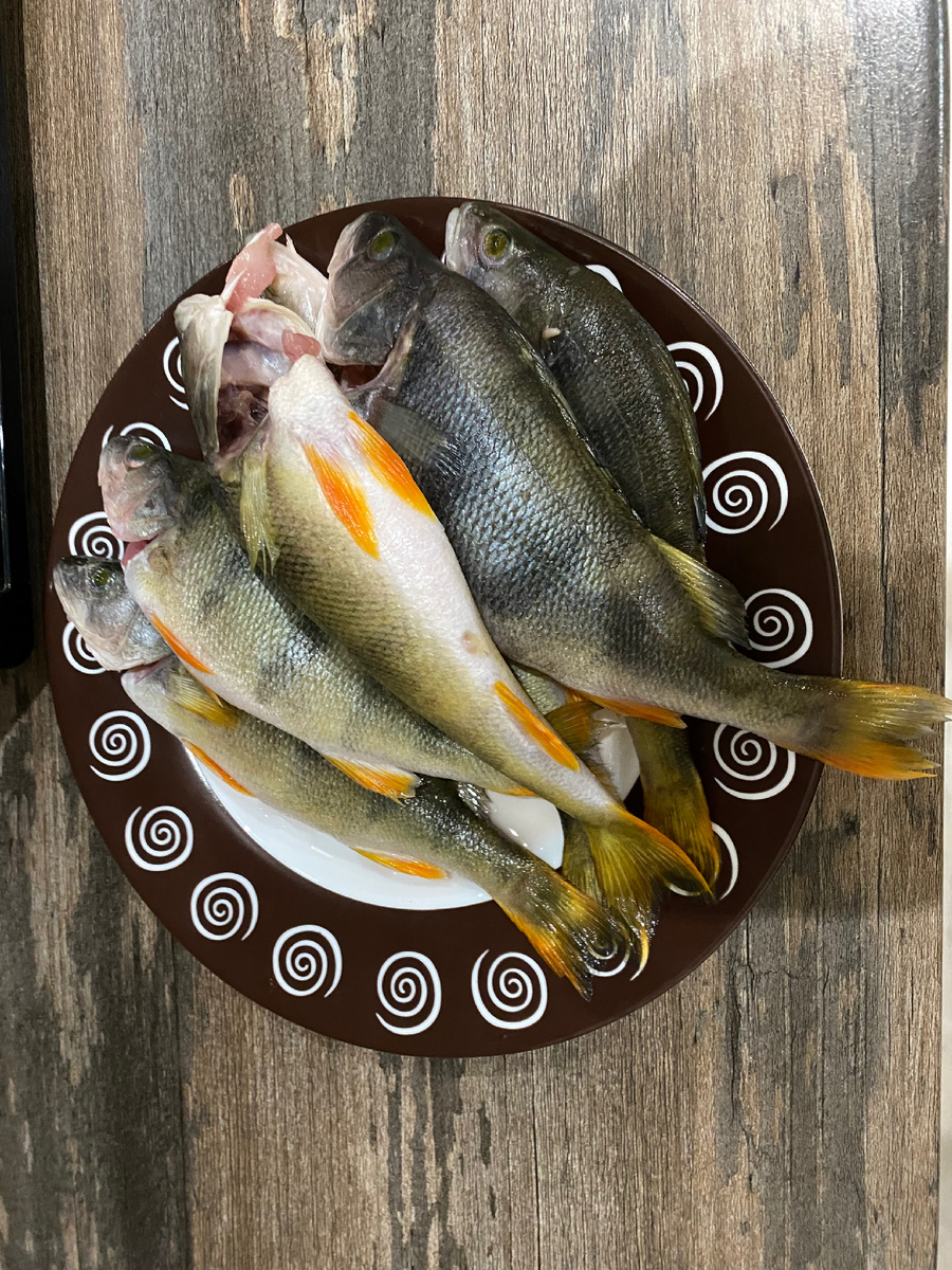 Подготовленные полосатики