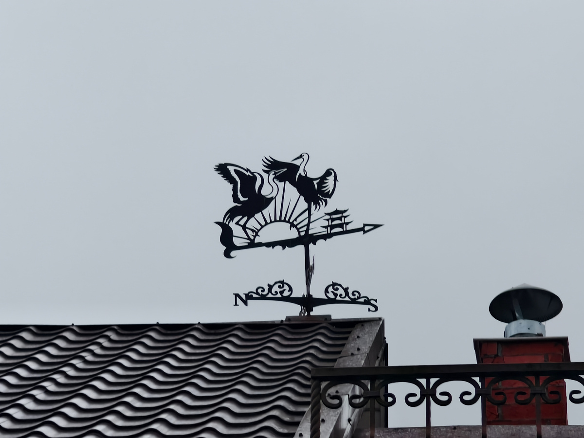 На крыше дома