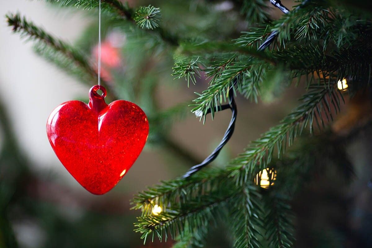 Иголки мелкие, короткие. Источник: Nataliabiruk / Shutterstock / FOTODOM Alt📷
