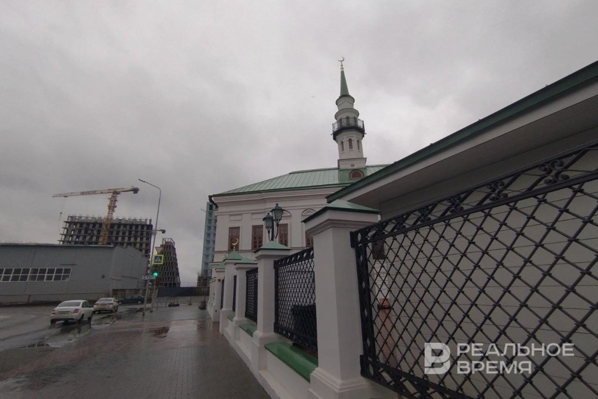    На другой стороне от улицы Меховщиков растет Новая Портовая. Радиф Кашапов / realnoevremya.ru