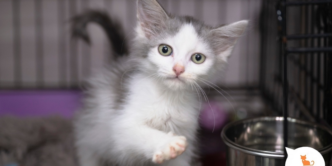 Сделайте свой мир лучше прямо сейчас