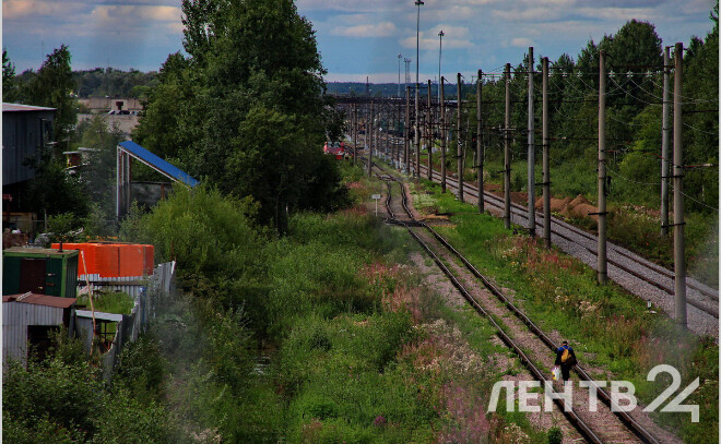    © Анастасия Илюшина / ЛенТВ24, архивное фото