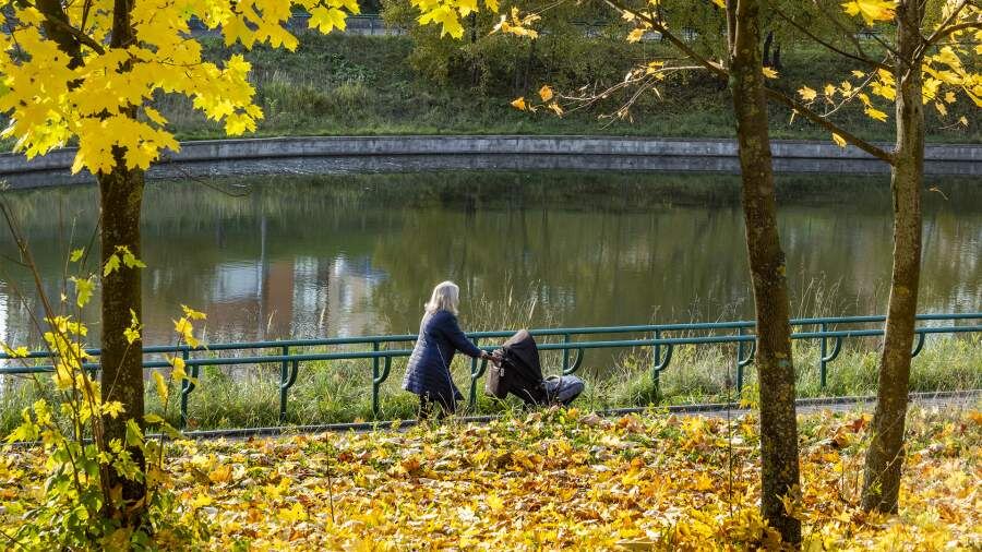    Фото: ИЗВЕСТИЯ/Константин Кокошкин