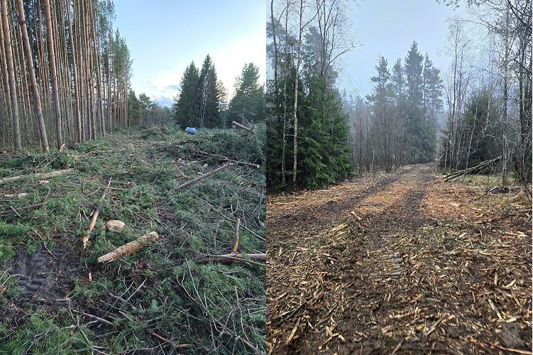 Сделать “поэтапно” — значит заплатить дважды.