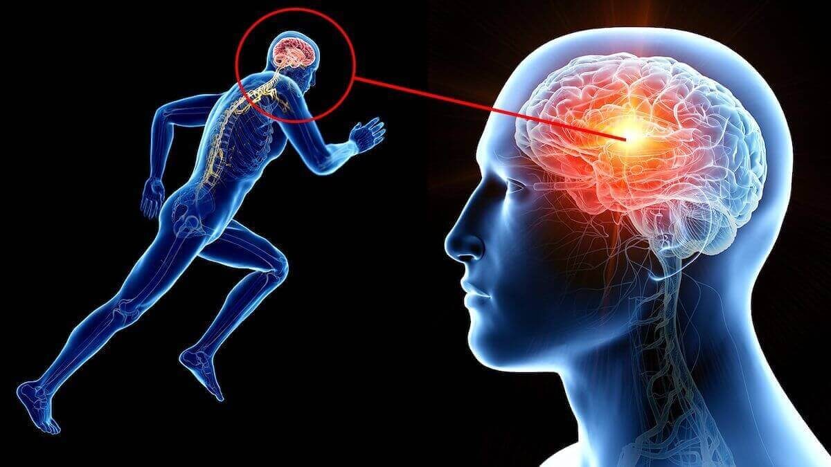 10 сигналов, что мозг нуждается в отдыхе (чек-лист)