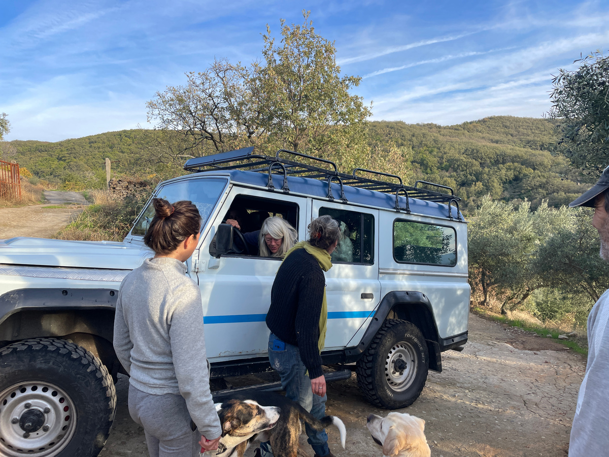 Вот эта старушка с белыми волосами и есть Люси Риз. Мы уезжали, а она как раз в гости приехала