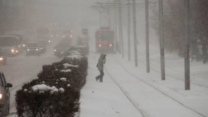     Снегопад. Зима. Метель. Снег. Анна Зайкова, altapress.ru