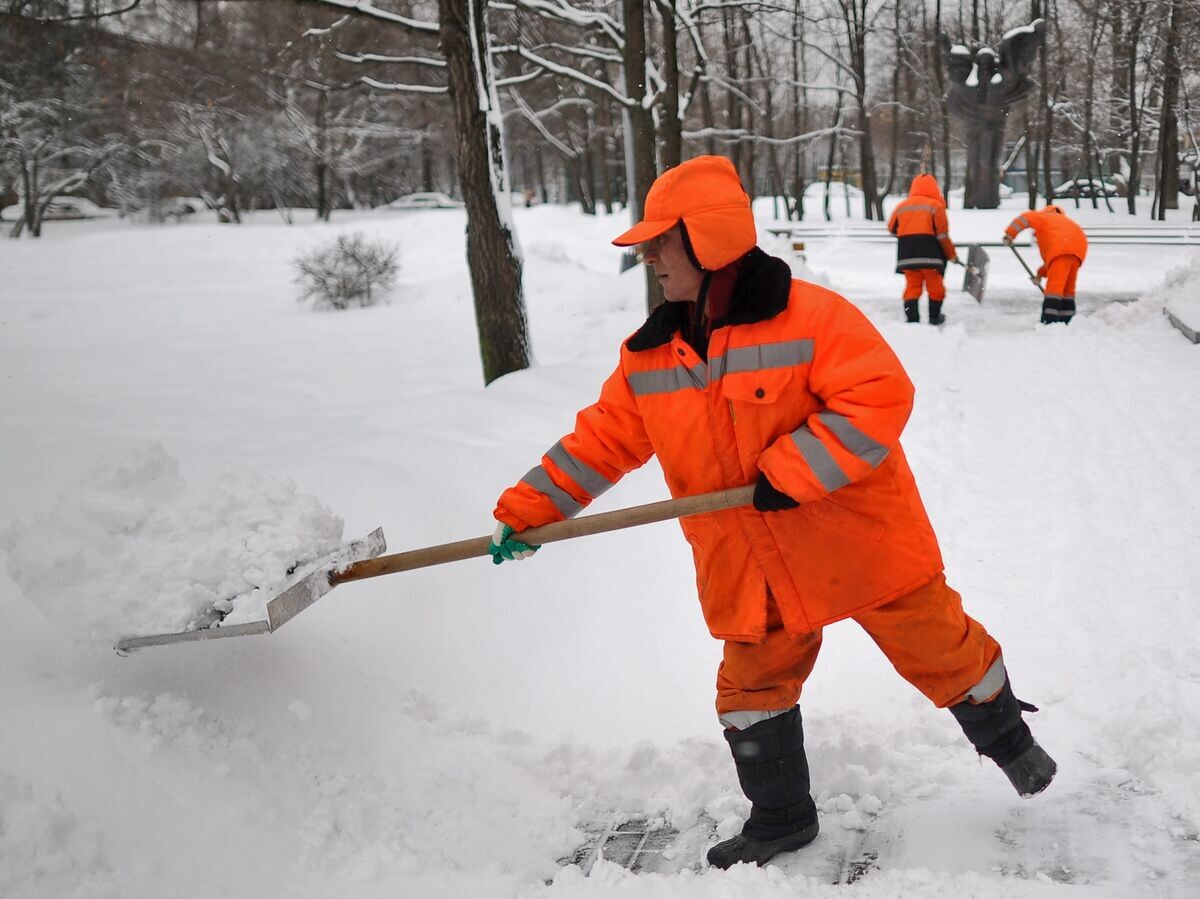    Снегопад в Москве© РИА Новости / Владимир Астапкович