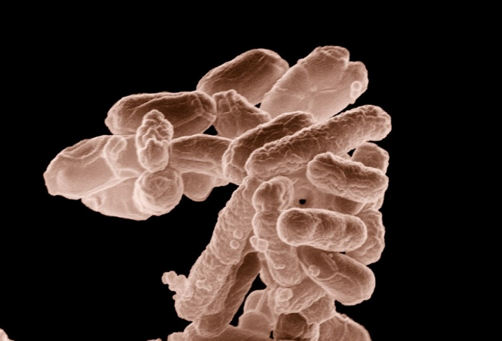 фото: pxhere.com