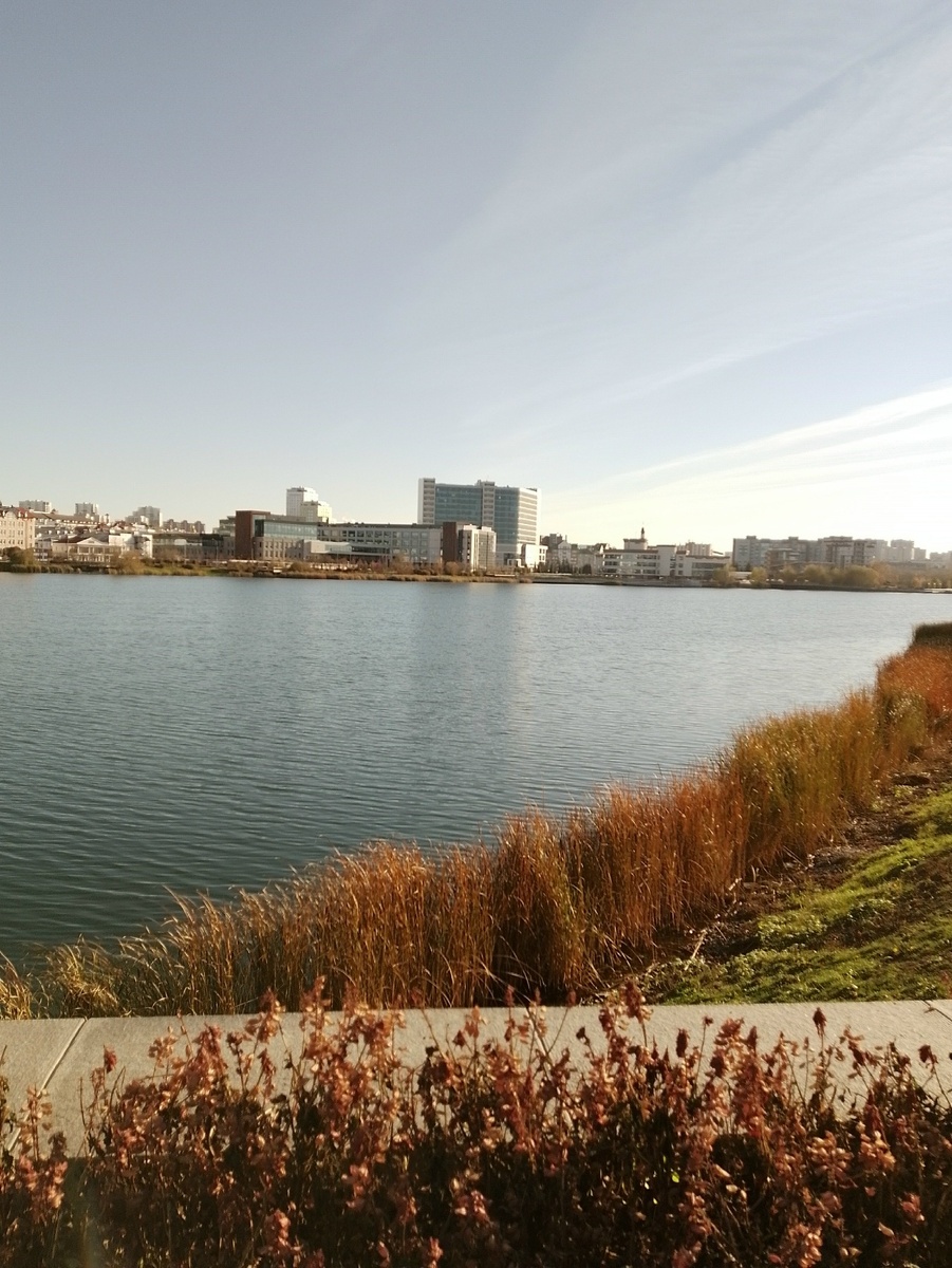 Озеро Кабан в Казани. 6 ноября 2023 г.