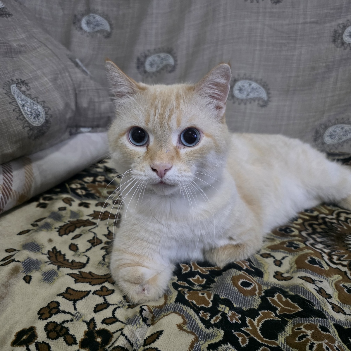 Директор в задумчивости обдумывает важные решения