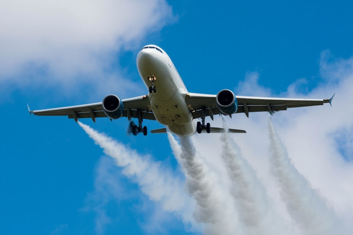    Фото: коллаж RuNews24.ru