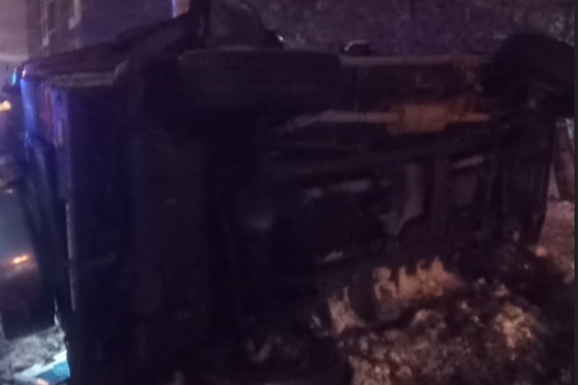    Фото: Спасатели МАСС/Telegram