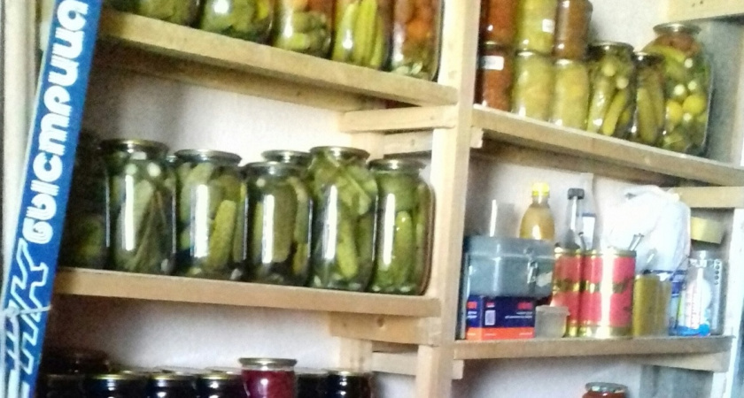    Наконец-то избавился от конденсата в погребе: дед-сосед рассказал, как легко решить проблему