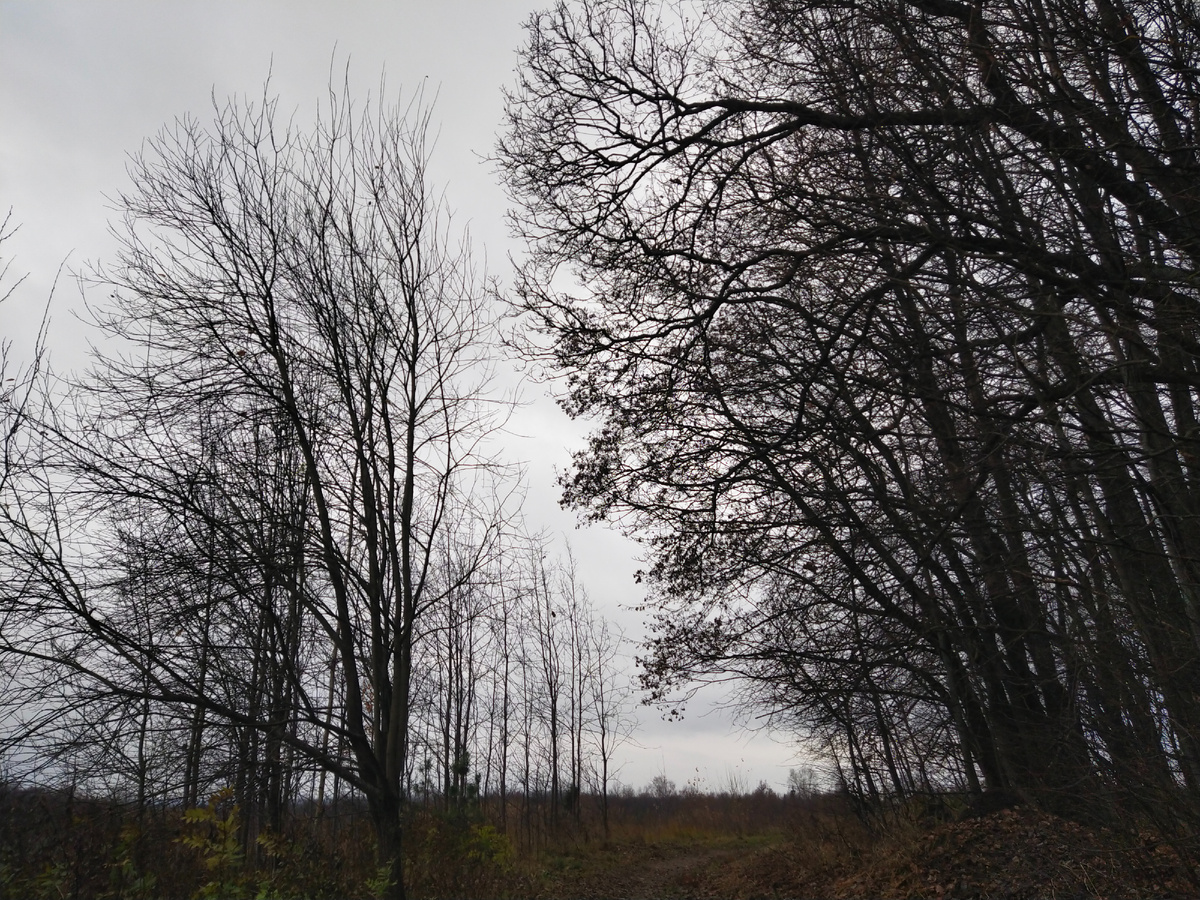 Личное фото