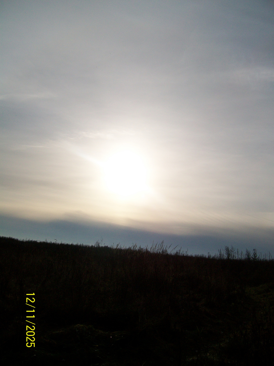 Личное фото