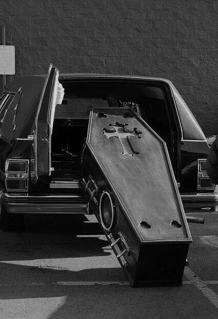 Изображение взято из открытых источников интернета. 