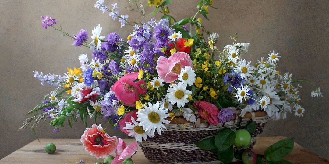 Полевые цветы и молчаливая любовь