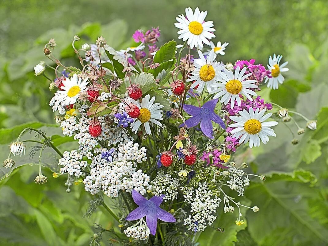 глаза ее горели, словно звезды на небе