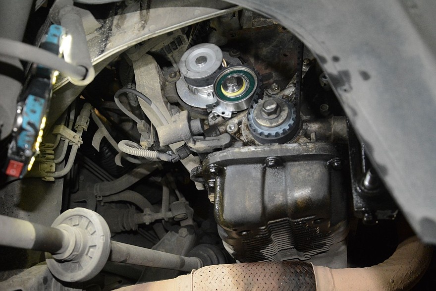    Фото: Александр Омеличев