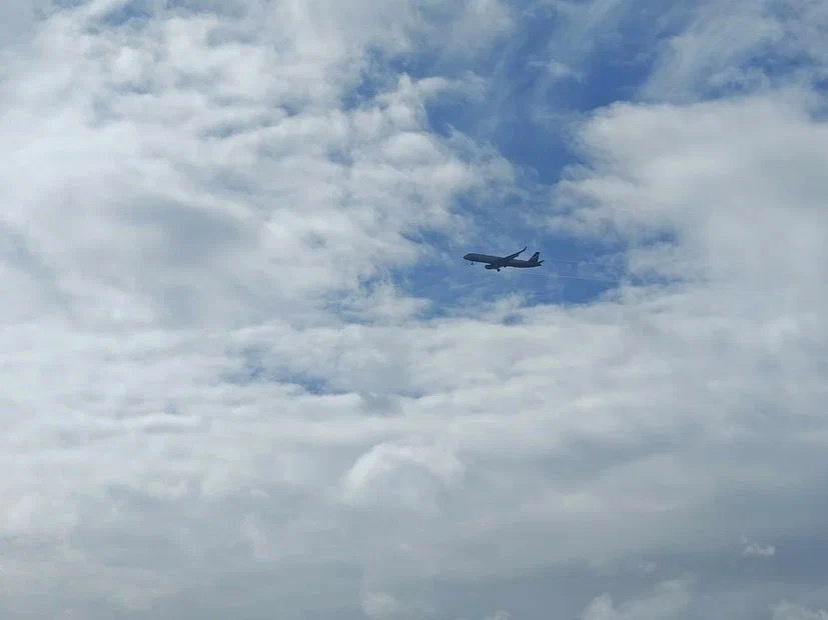    Фото: Юрий Серебренников/BFM Кубань