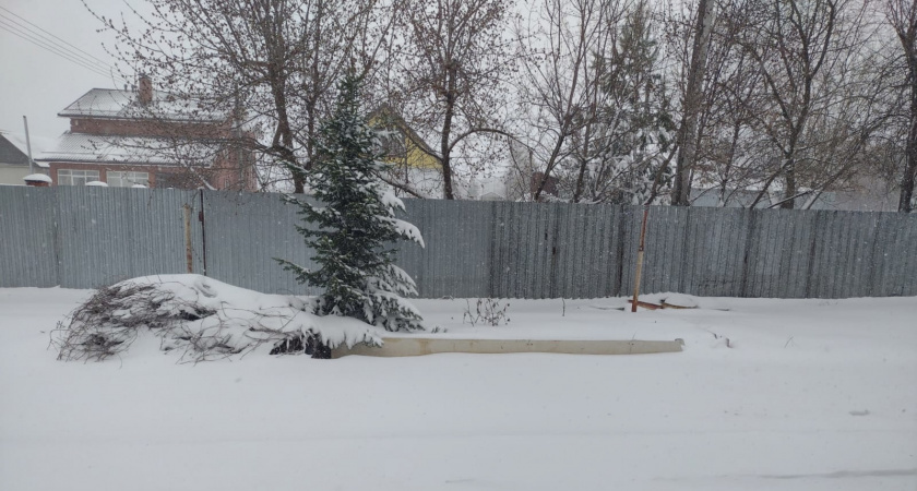    Какую погоду ожидать этой зимой в России: сенсационный прогноз погоды от искусственного интеллекта