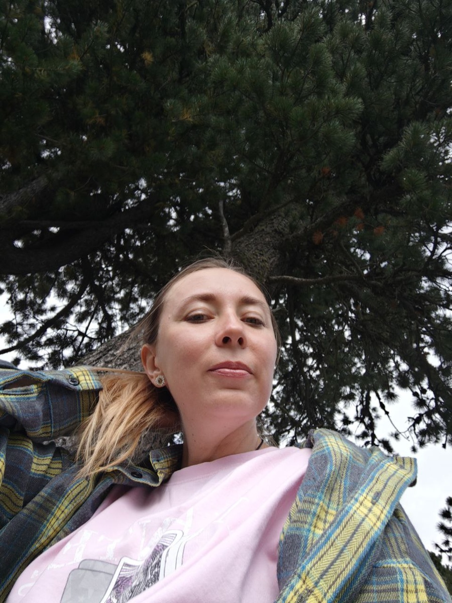 Мой любимый кедр на Семинском перевале