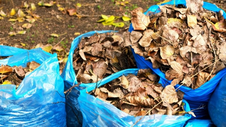 Заготовка натуральных разрыхлителей не требует больших затрат