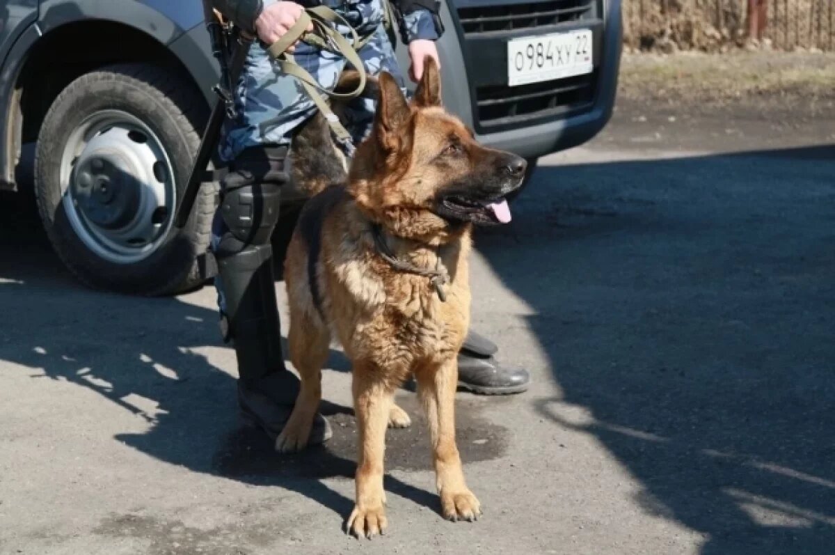    В Алтайском крае пройдут масштабные антитеррористические учения
