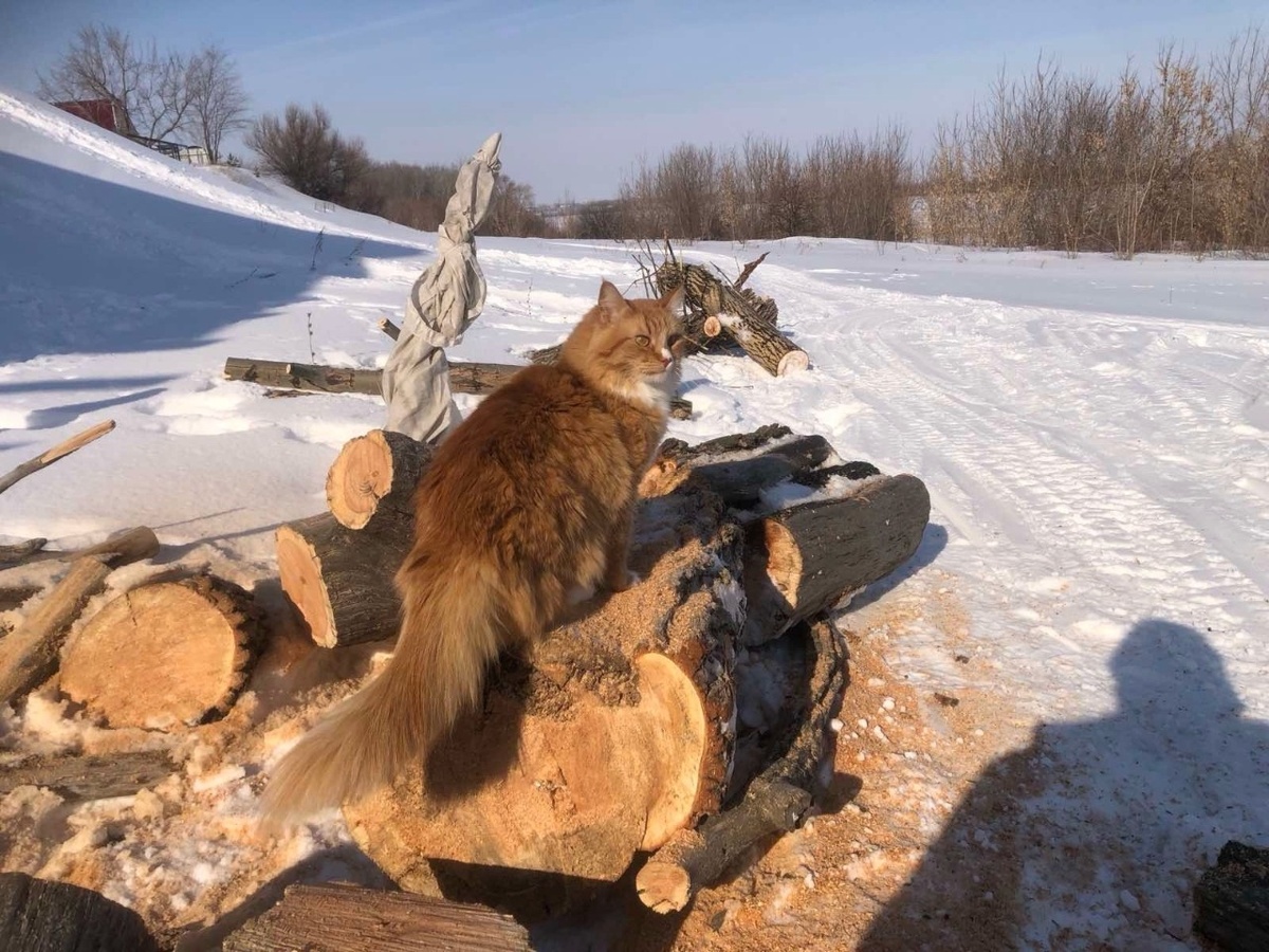    Фото: архив ПроГородСамара