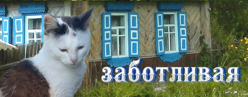 Заботливая