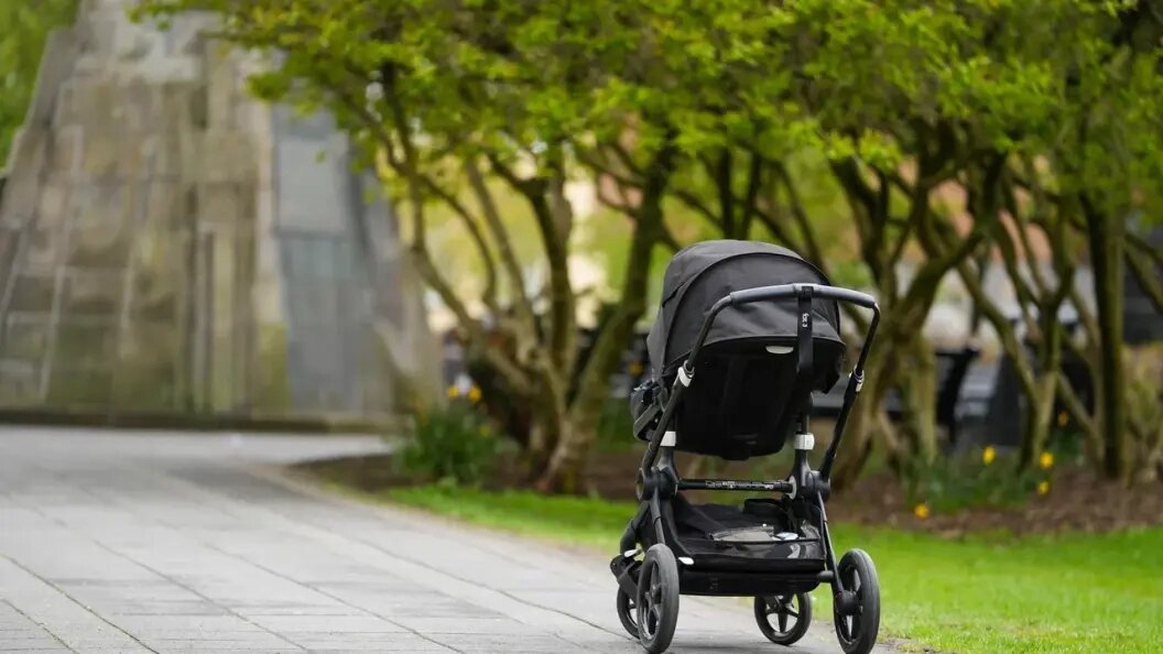    Фото: Freepik.com