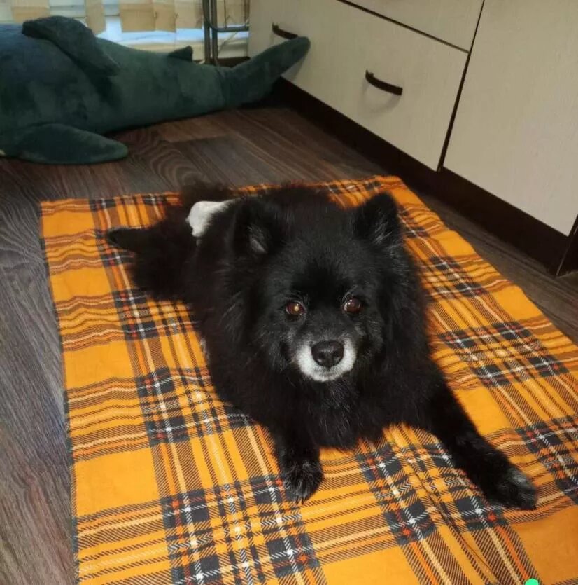 Фото: пресс-служба прокуратуры Челябинской области