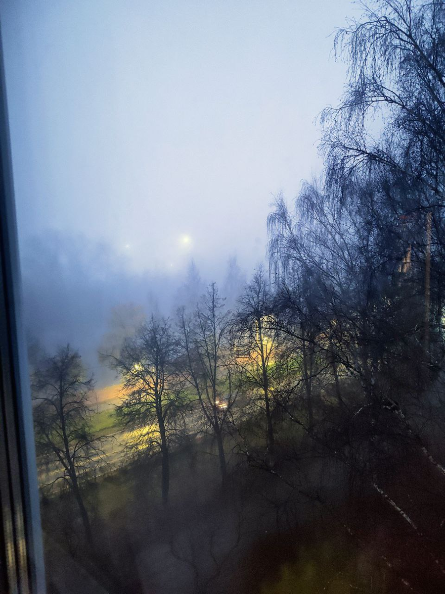 Фото автора, сделанное из окна спальни