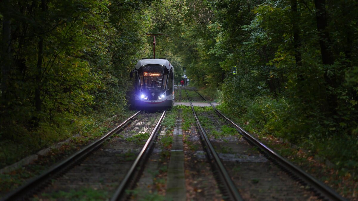    Фото: Belkin Alexey/globallookpress.com