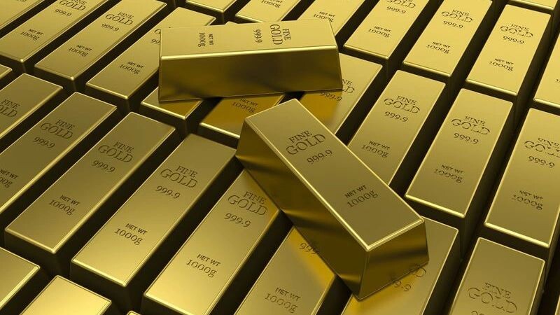    Фото: Gil C/Shutterstock/Fotodom