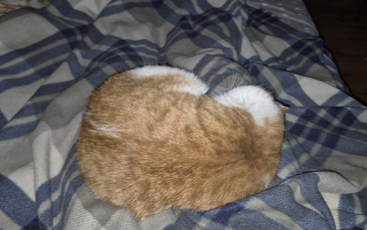 ложимся спать. На мне какой-то оладушек