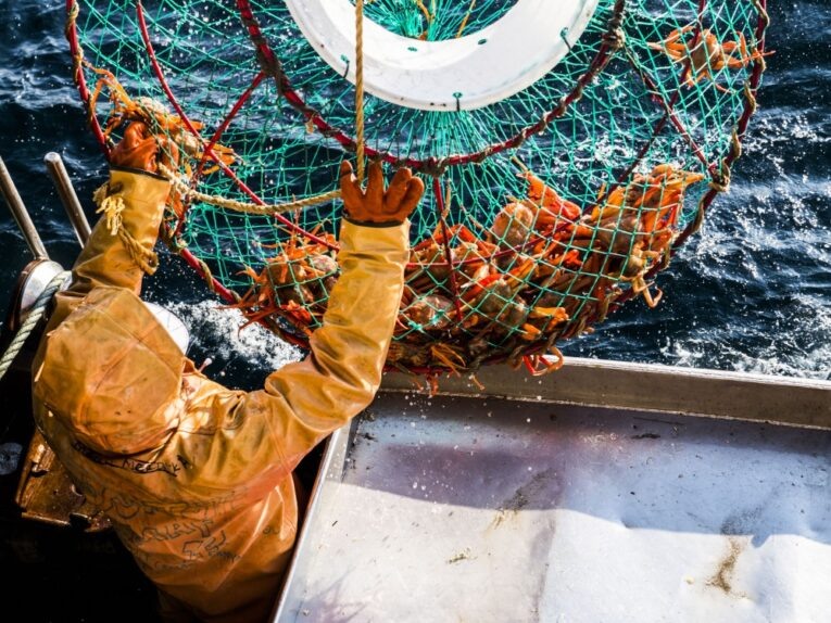 Фото с официального сайта АО «Рыболовецкий колхоз «Восток-1» (18+)