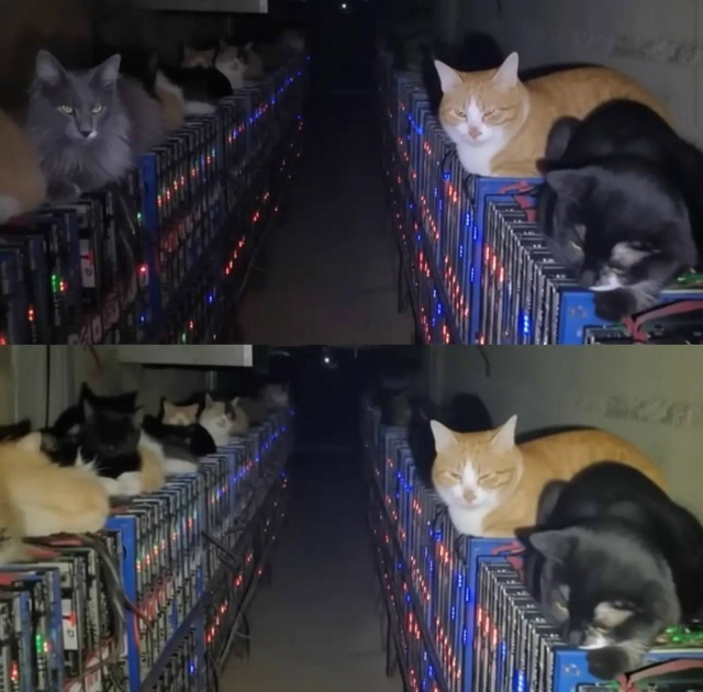 Источник: Уличный репортер Уфы