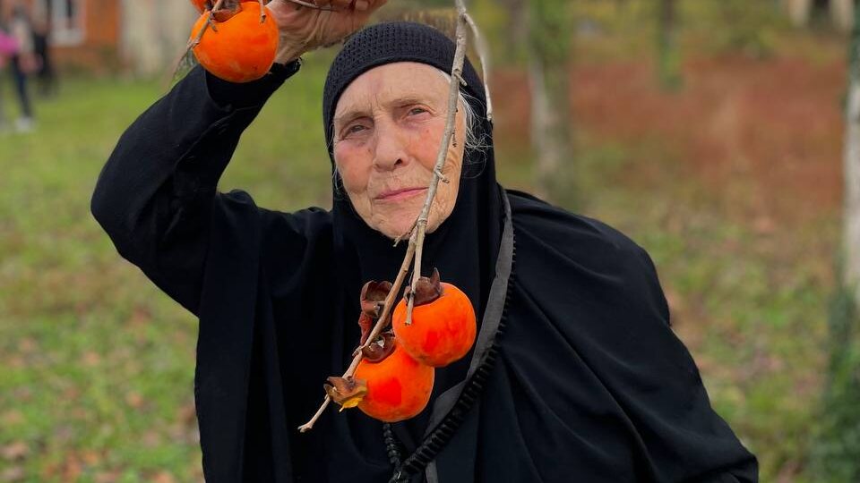 Грузинское гостеприимство: стол, достойный царей, и тепло, которое не забыть