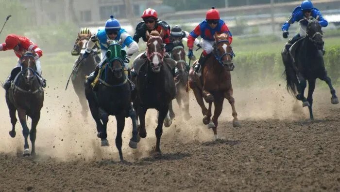 Министерство имущества Ростовской области намерено оспорить изменение назначения земель, принадлежащих ипподрому в Ростове //Фото: rosippo.ru