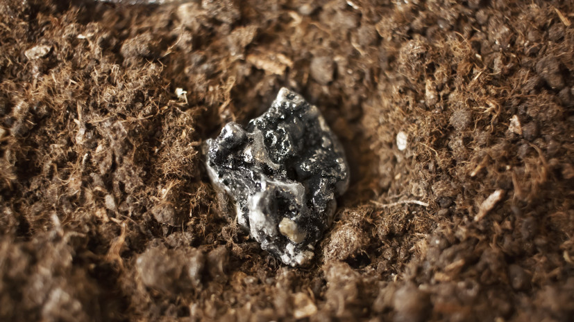   Gettyimages.ru Olga Mikheeva