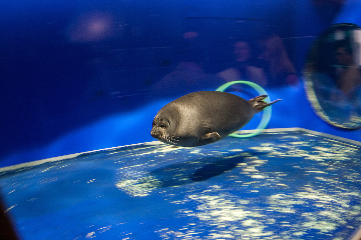 Фото Байкальского музея Иркутского научного центра СО РАН