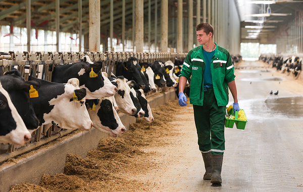 Арина Антонова/ТАСС